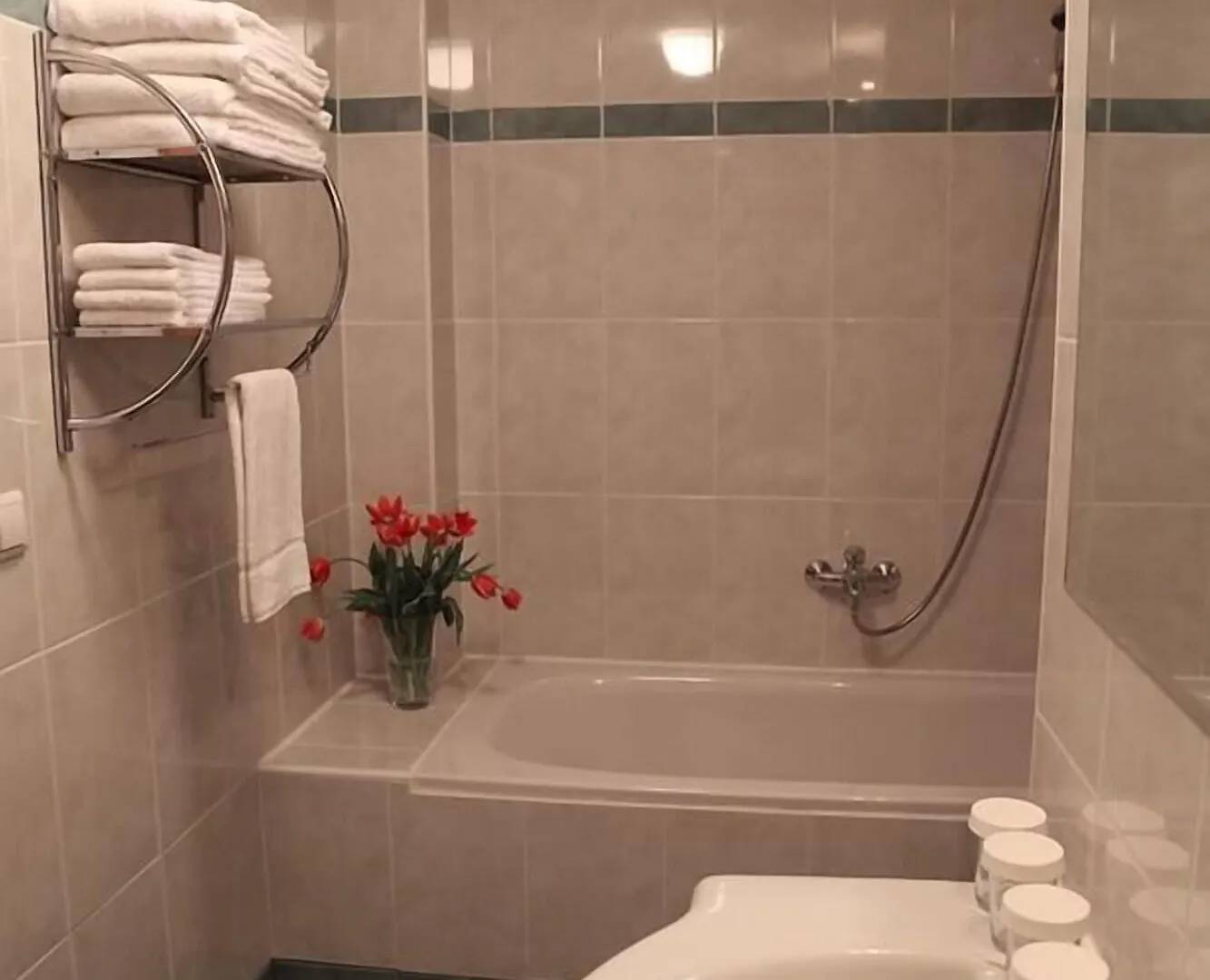 פראג Hotel Popelka